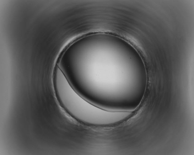 X0000088440942200705220912