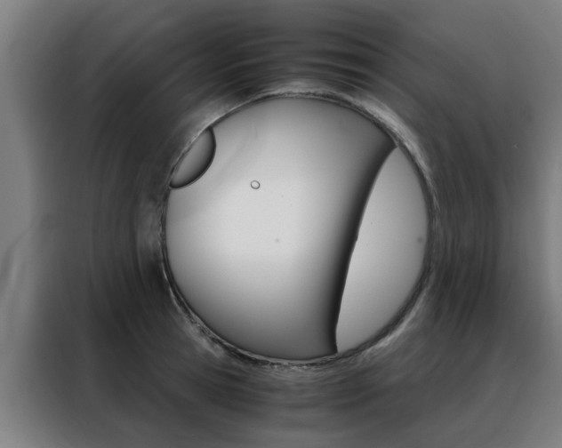 X0000088440945200705220912