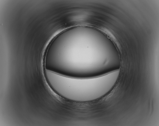 X0000088440947200705220912