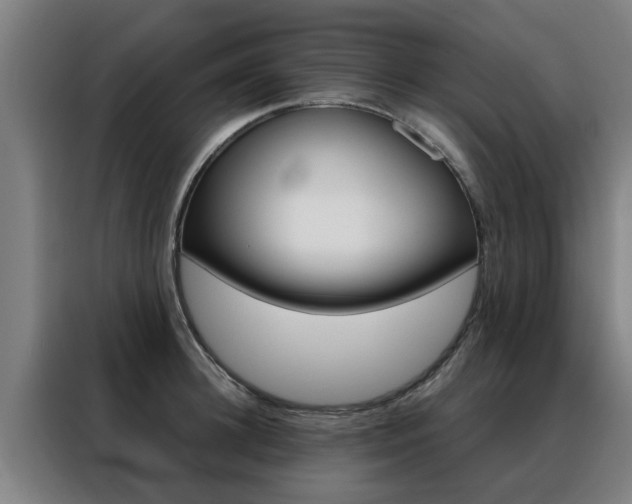 X0000088440948200705220912