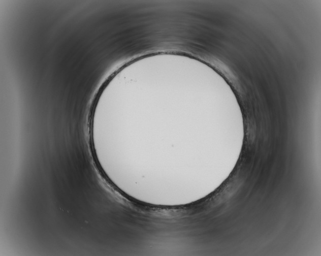 X0000088440950200705220912