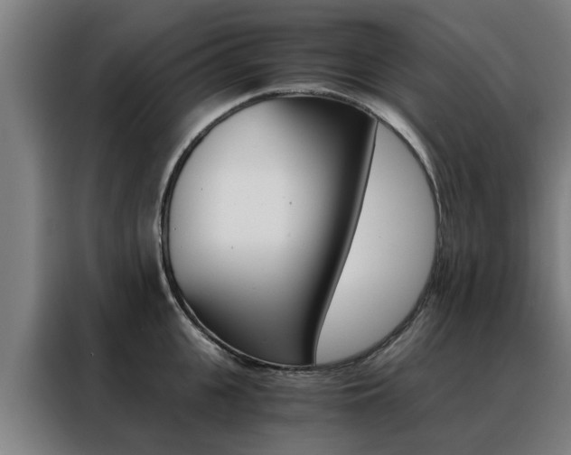X0000088440951200705220912
