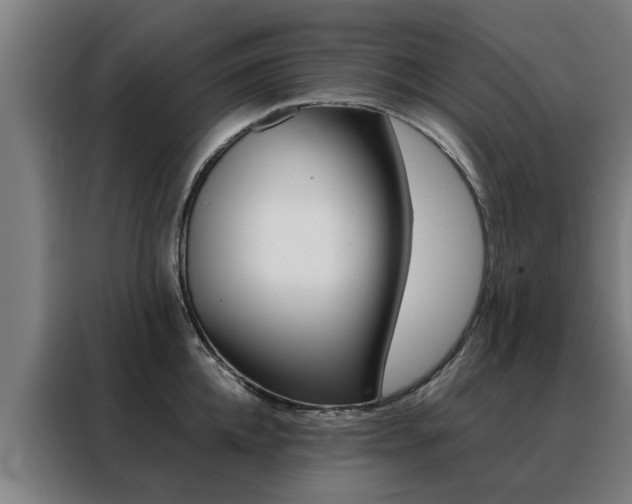 X0000088440952200705220912