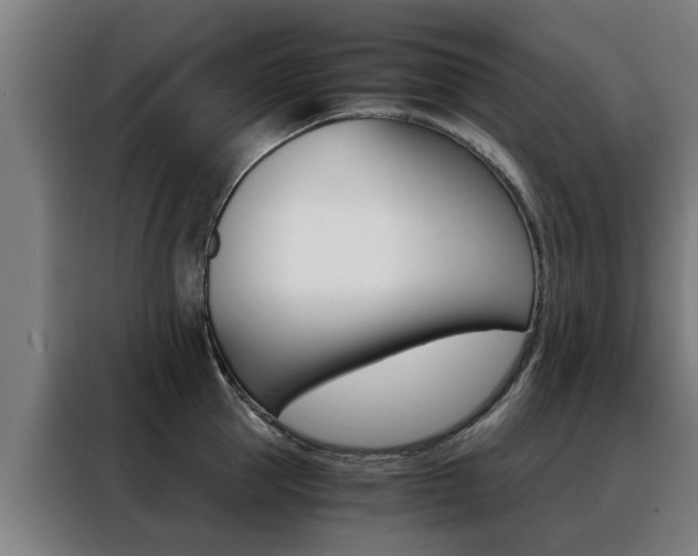 X0000088440953200705220912