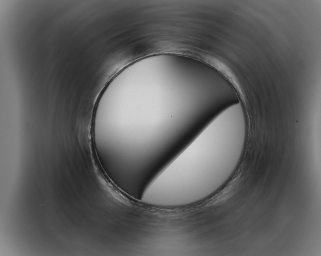 X0000088440954200705220912