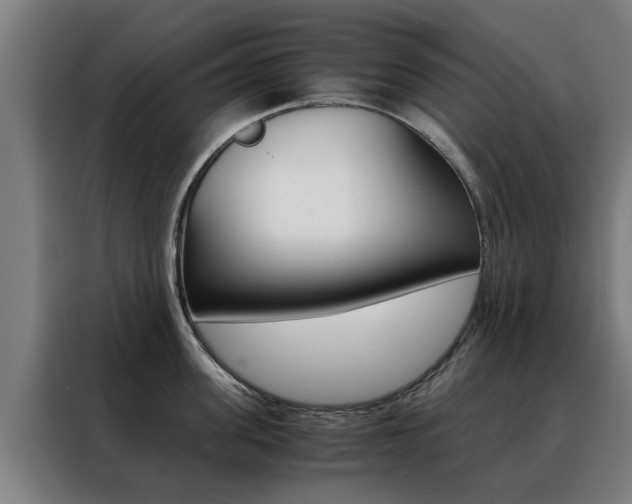 X0000088440955200705220912