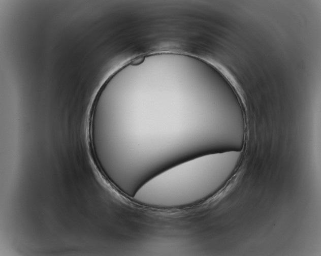 X0000088440957200705220912