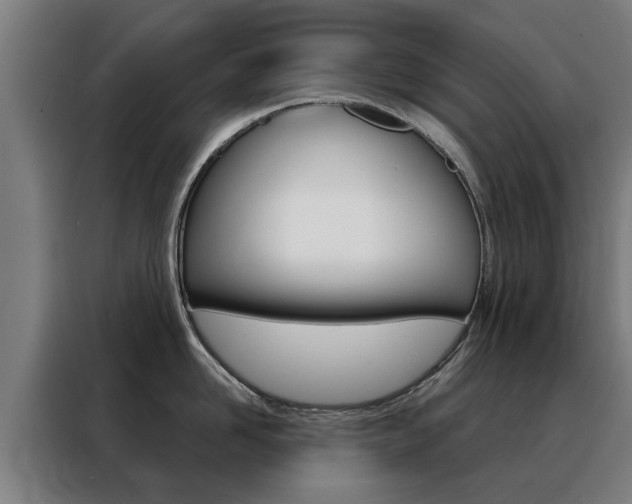 X0000088440958200705220912