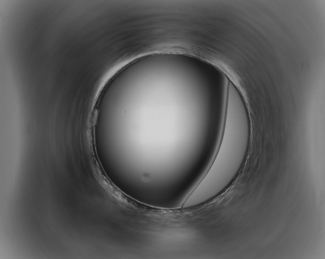 X0000088440960200705220912