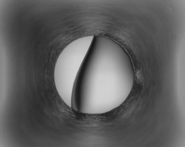 X0000088440963200705220911