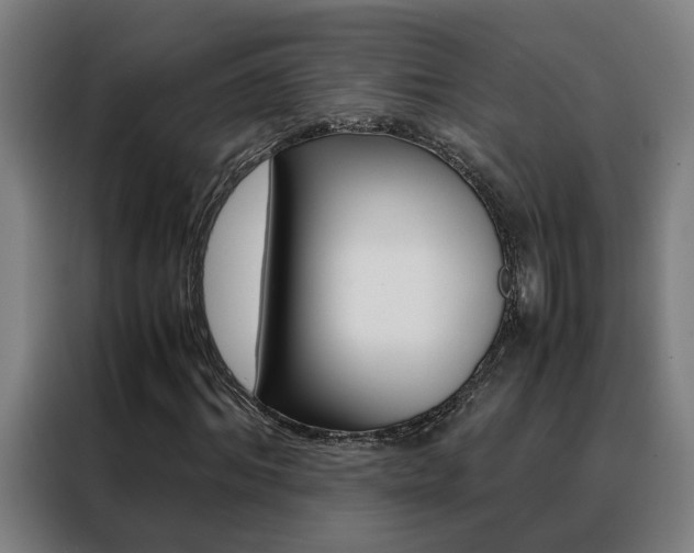 X0000088440964200705220911