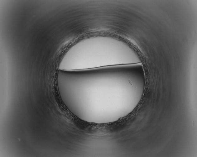 X0000088440967200705220911