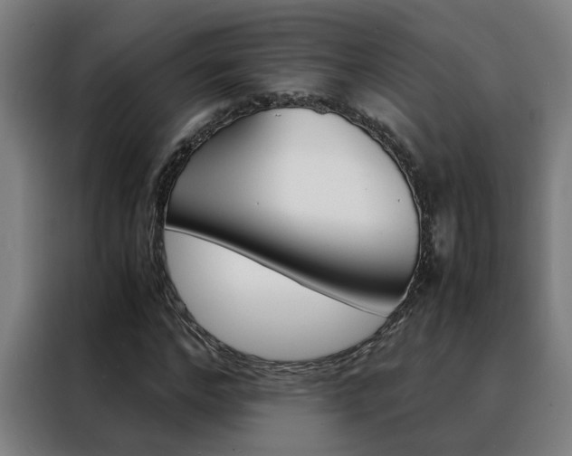 X0000088440968200705220911
