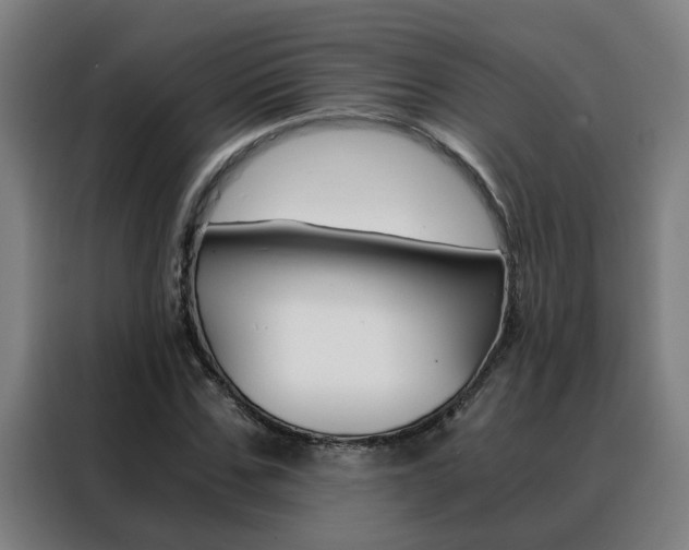 X0000088440971200705220911
