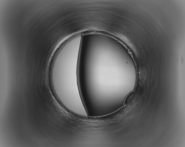 X0000088440972200705220911