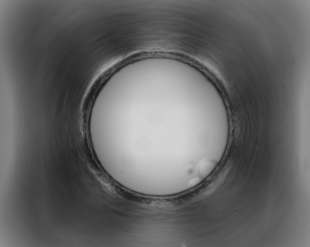 X0000088440974200705220911