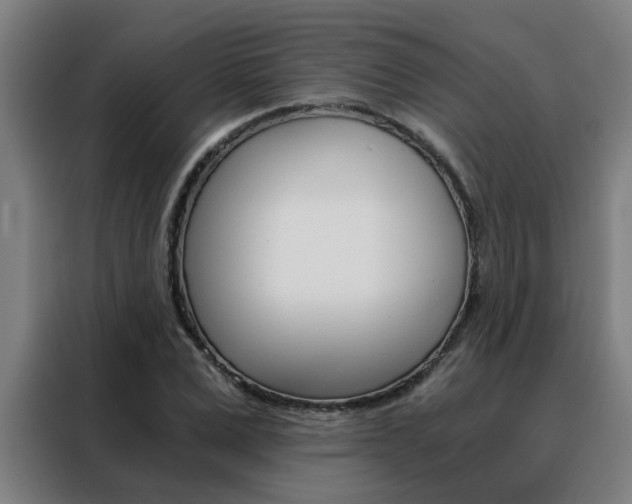 X0000088440975200705220911