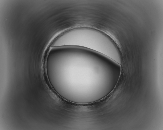 X0000088440976200705220911