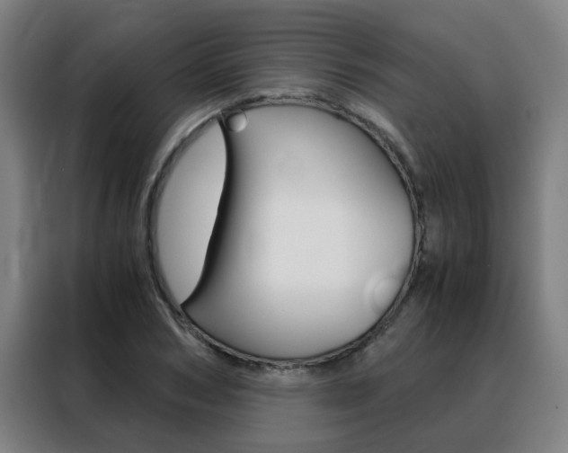 X0000088440978200705220911