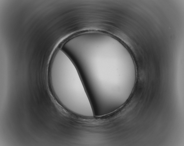 X0000088440980200705220911