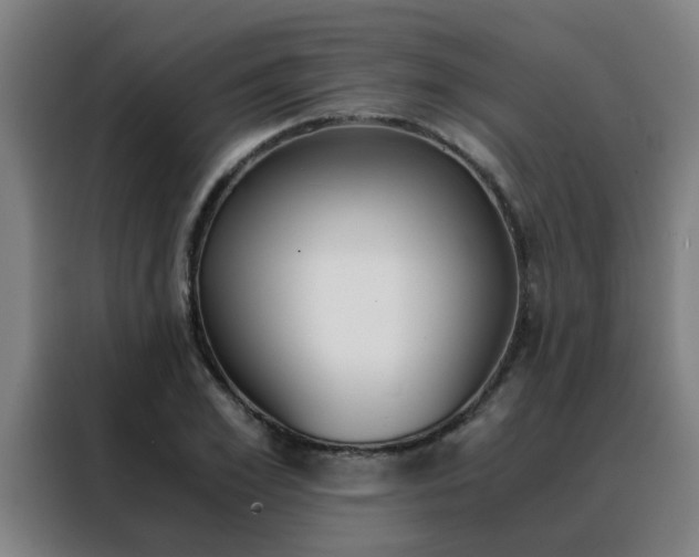X0000088440981200705220911