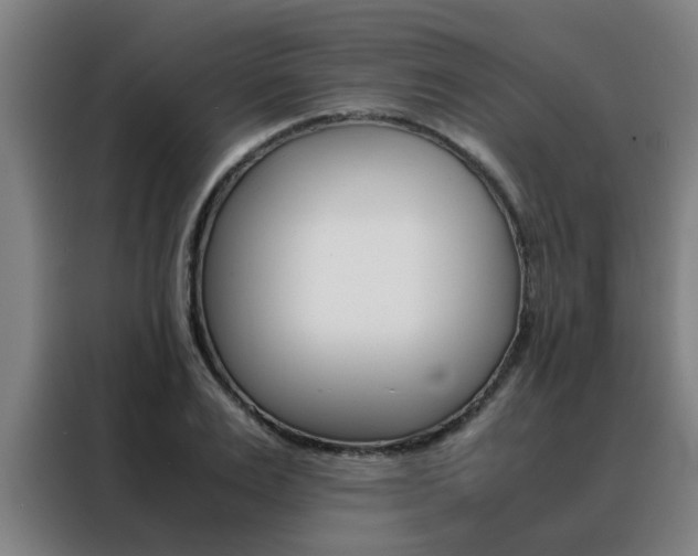 X0000088440983200705220911