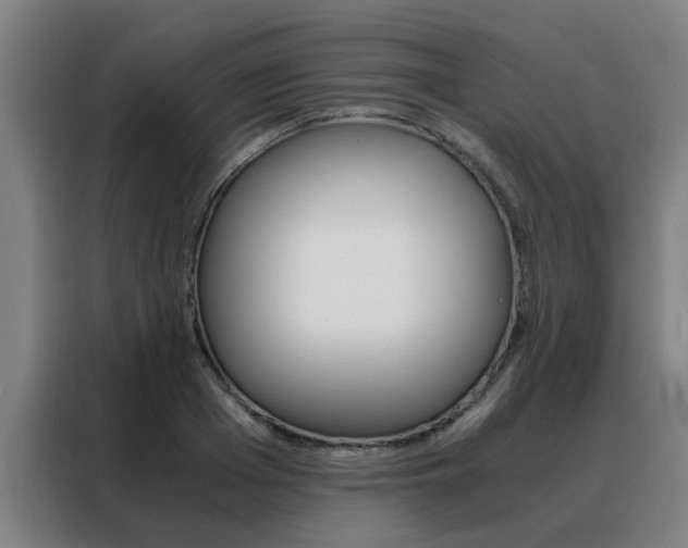 X0000088440985200705220911