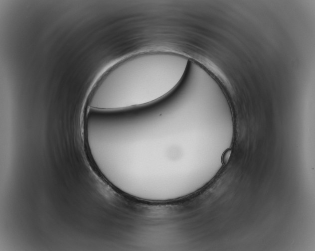X0000088440988200705220911