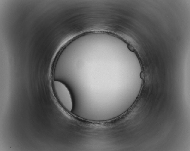 X0000088440990200705220911