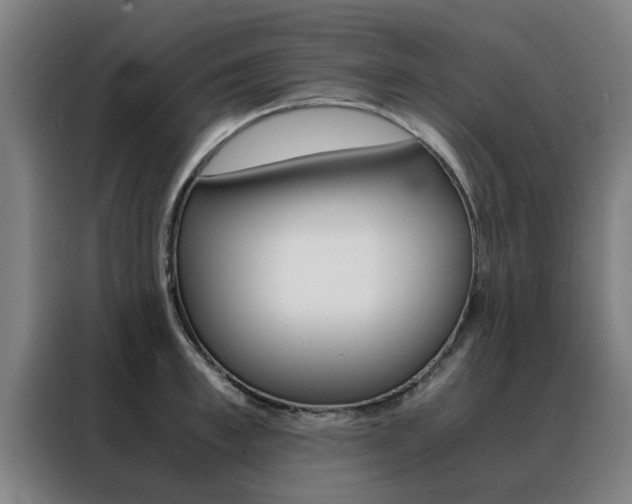 X0000088440997200705220911