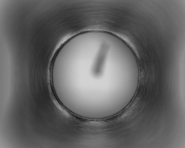 X0000088440998200705220911