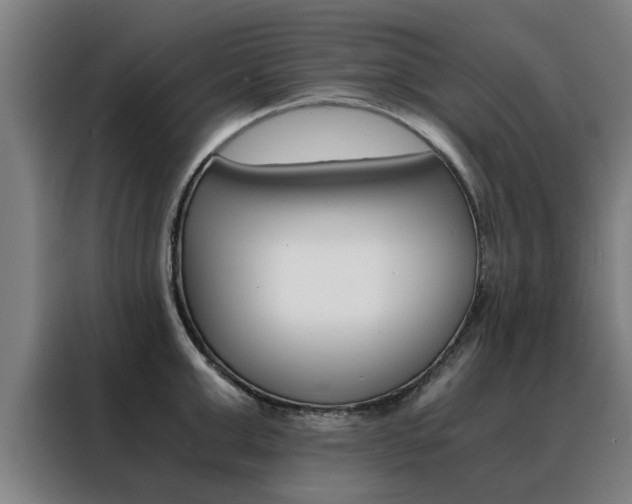 X0000088440999200705220911
