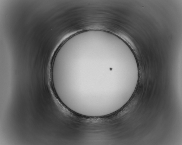 X0000088441000200705220911