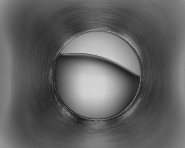 X0000088441001200705220911