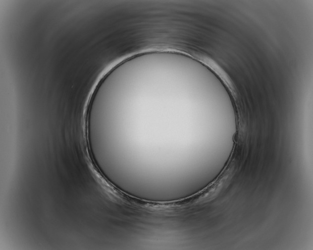 X0000088441004200705220911