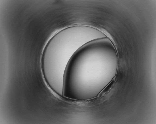 X0000088441005200705220911