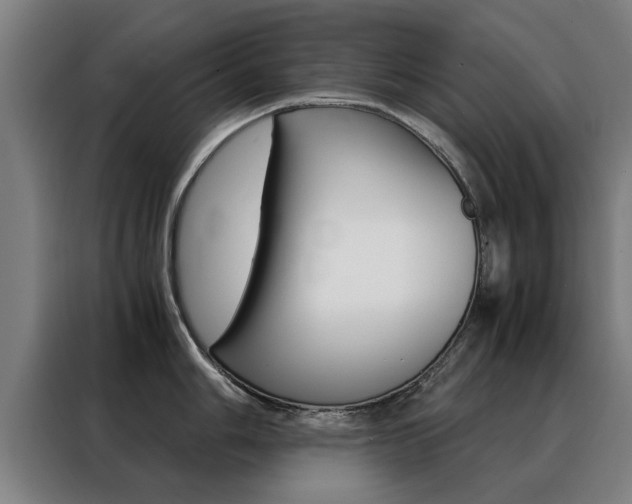 X0000088441006200705220911