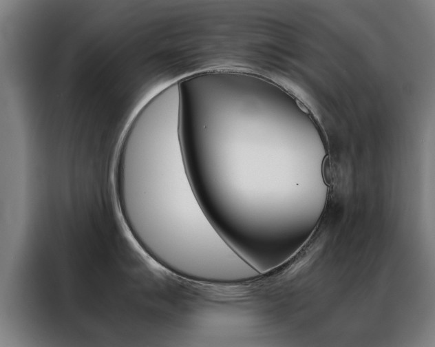 X0000088441007200705220911