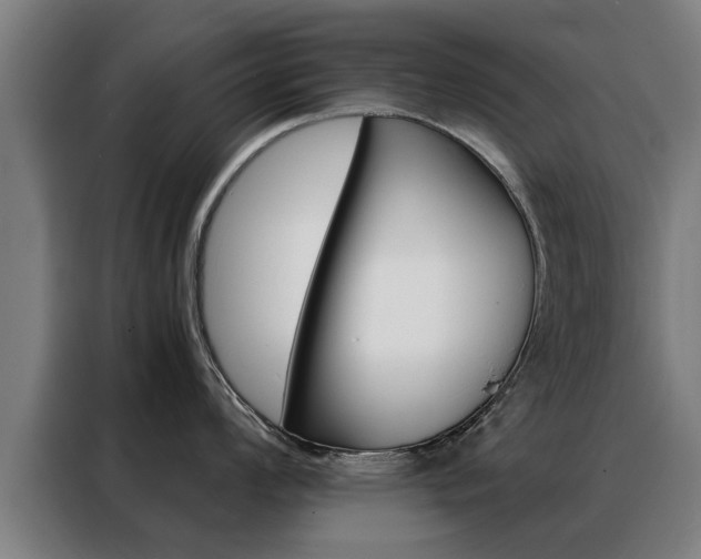 X0000088441008200705220911