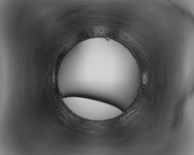 X0000088441011200705220910