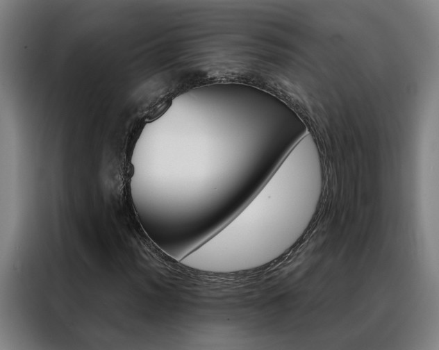 X0000088441012200705220910
