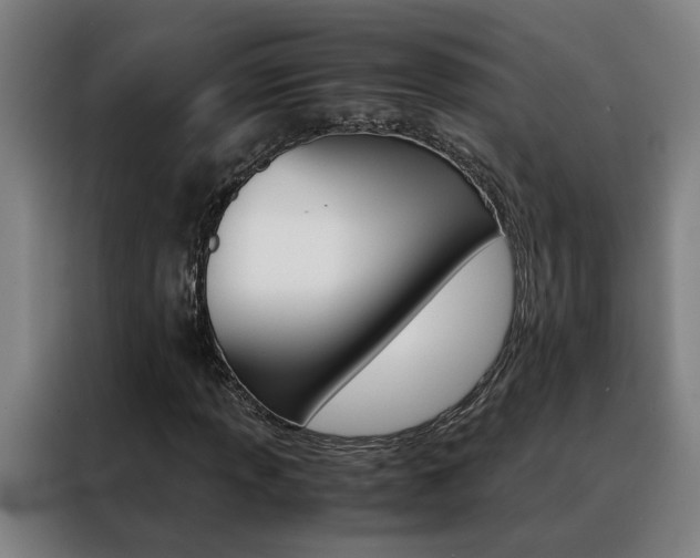 X0000088441013200705220910