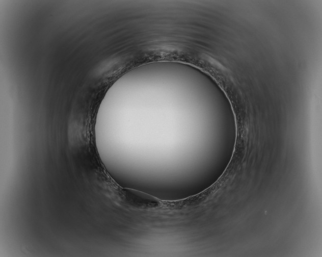 X0000088441014200705220910