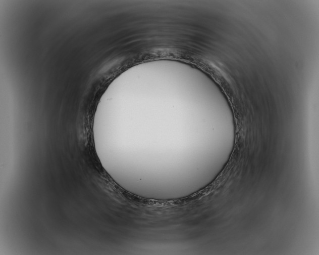 X0000088441015200705220910