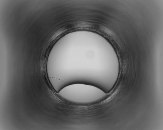 X0000088441017200705220910