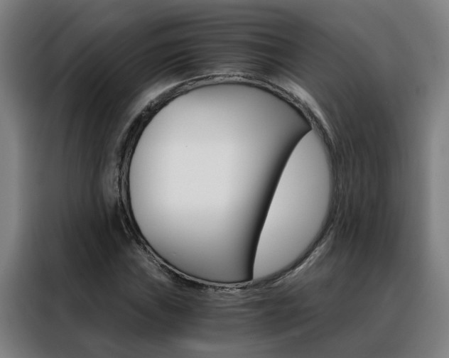 X0000088441019200705220910