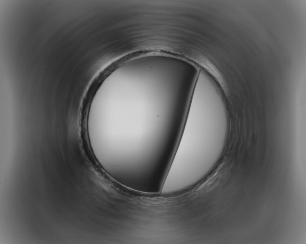 X0000088441020200705220910