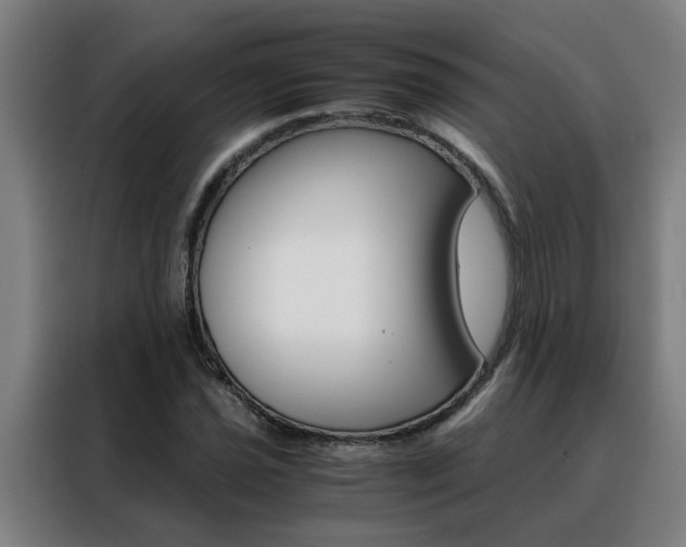 X0000088441021200705220910