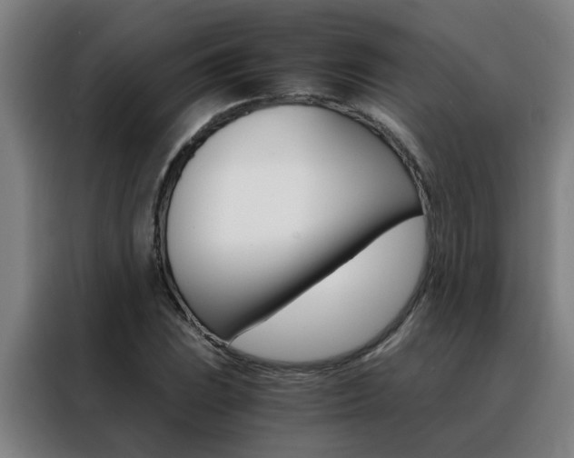 X0000088441023200705220910