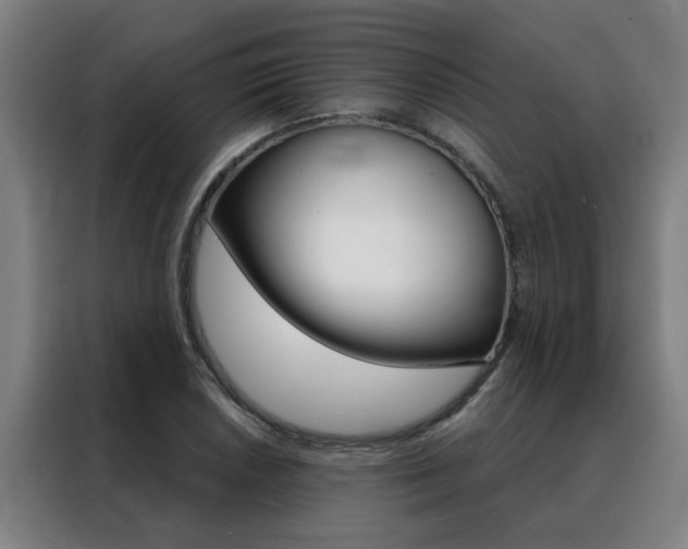 X0000088441026200705220910